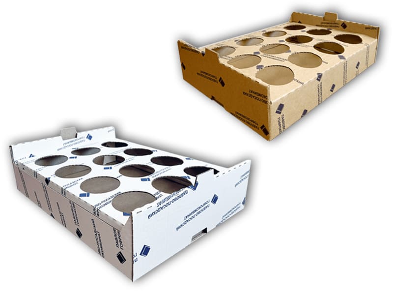 Фото гофролотка с ложементов на 12 стаканов